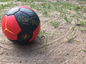 -男子手球全国赛八强激战，全国男子手球锦标赛